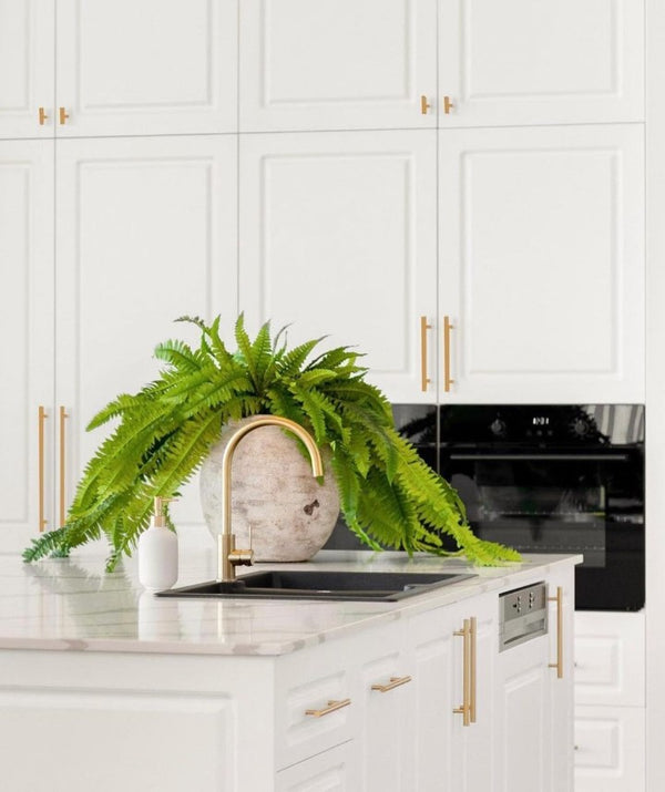 K126 - Apollo Bay Knob