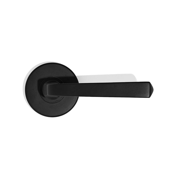 L19 - Somerville Lever