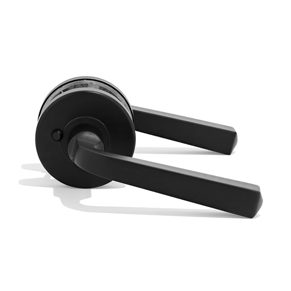 L19 - Somerville Lever