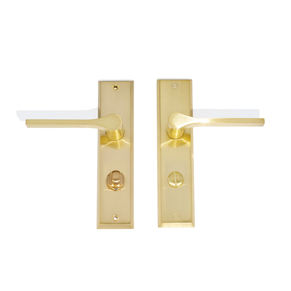 L31 - Bentleigh Long Plate Lever