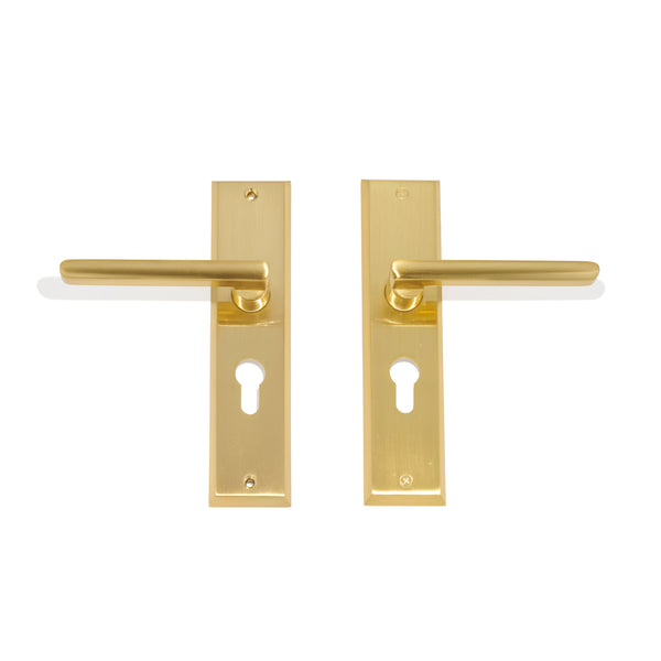 L29 - Preston Long Plate Lever