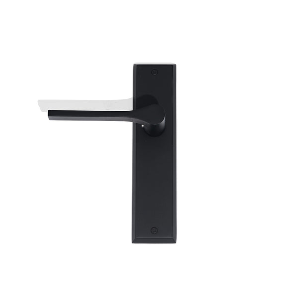 L31 - Bentleigh Long Plate Lever