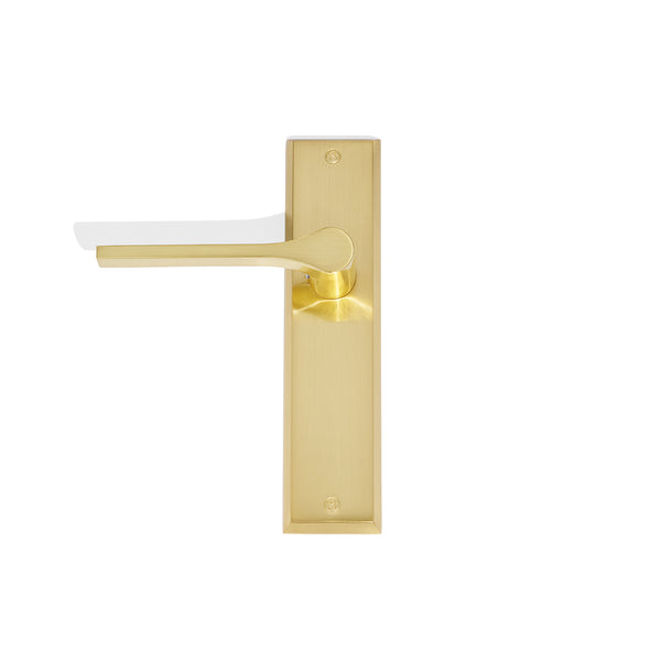 L31 - Bentleigh Long Plate Lever