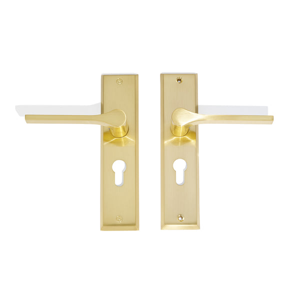 L31 - Bentleigh Long Plate Lever